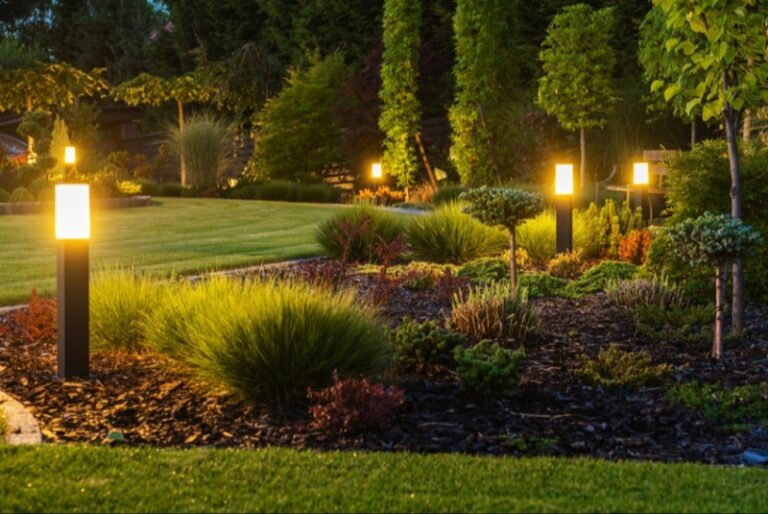 Illuminating Elegance: The Savvy Shopper’s Guide to Purchasing Premium Outdoor Lights